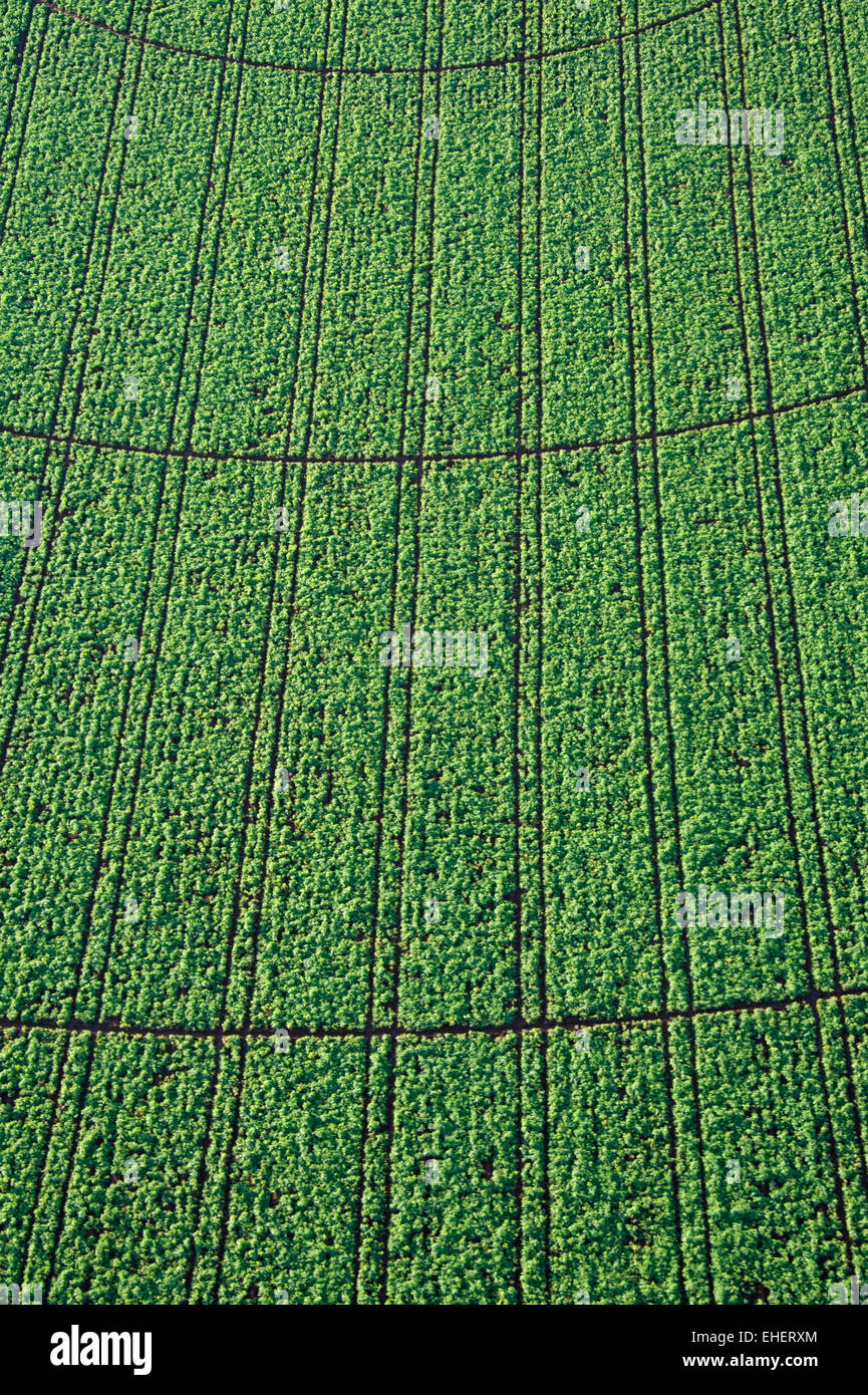 Crop circles aerial hi-res stock photography and images - Alamy