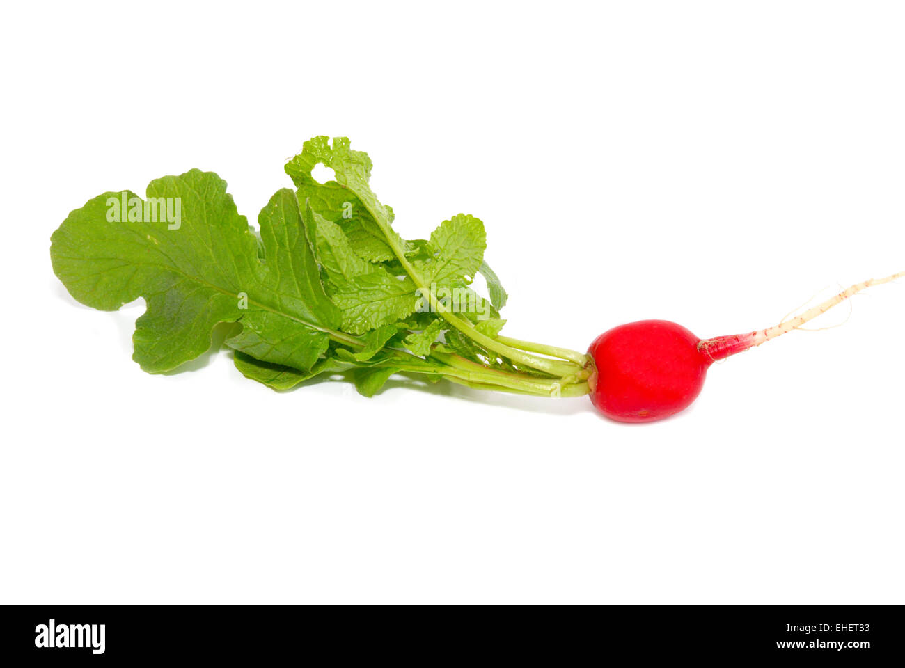 Bunch of red radish isolated on white Stock Photo Alamy
