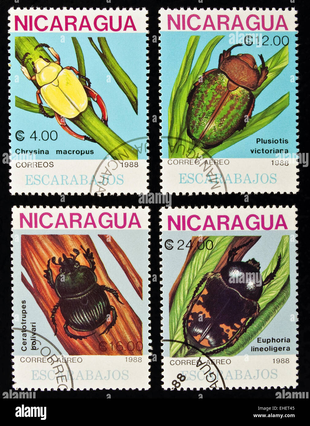Beetles stamps collection. Stock Photo