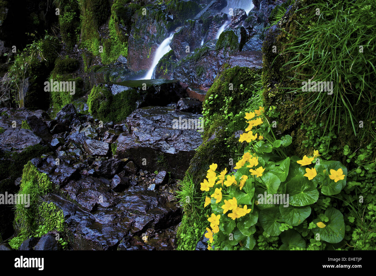 Nideck waterfall, Alsace, France Stock Photo