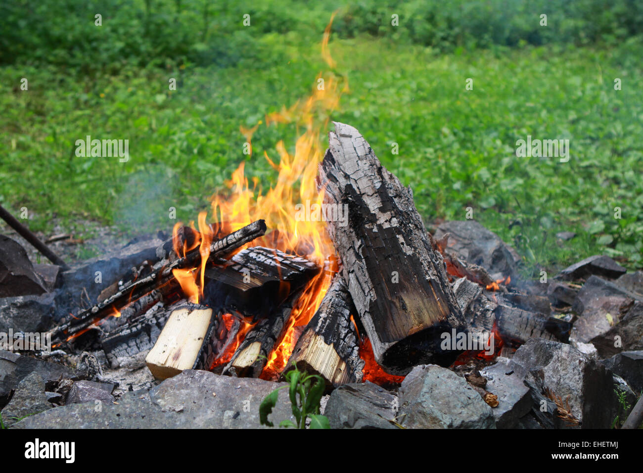 campfire Stock Photo