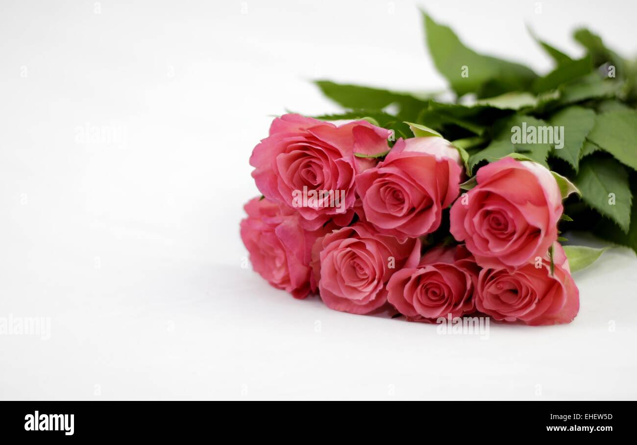 Bouquet of roses lying on the floor Stock Photo Alamy