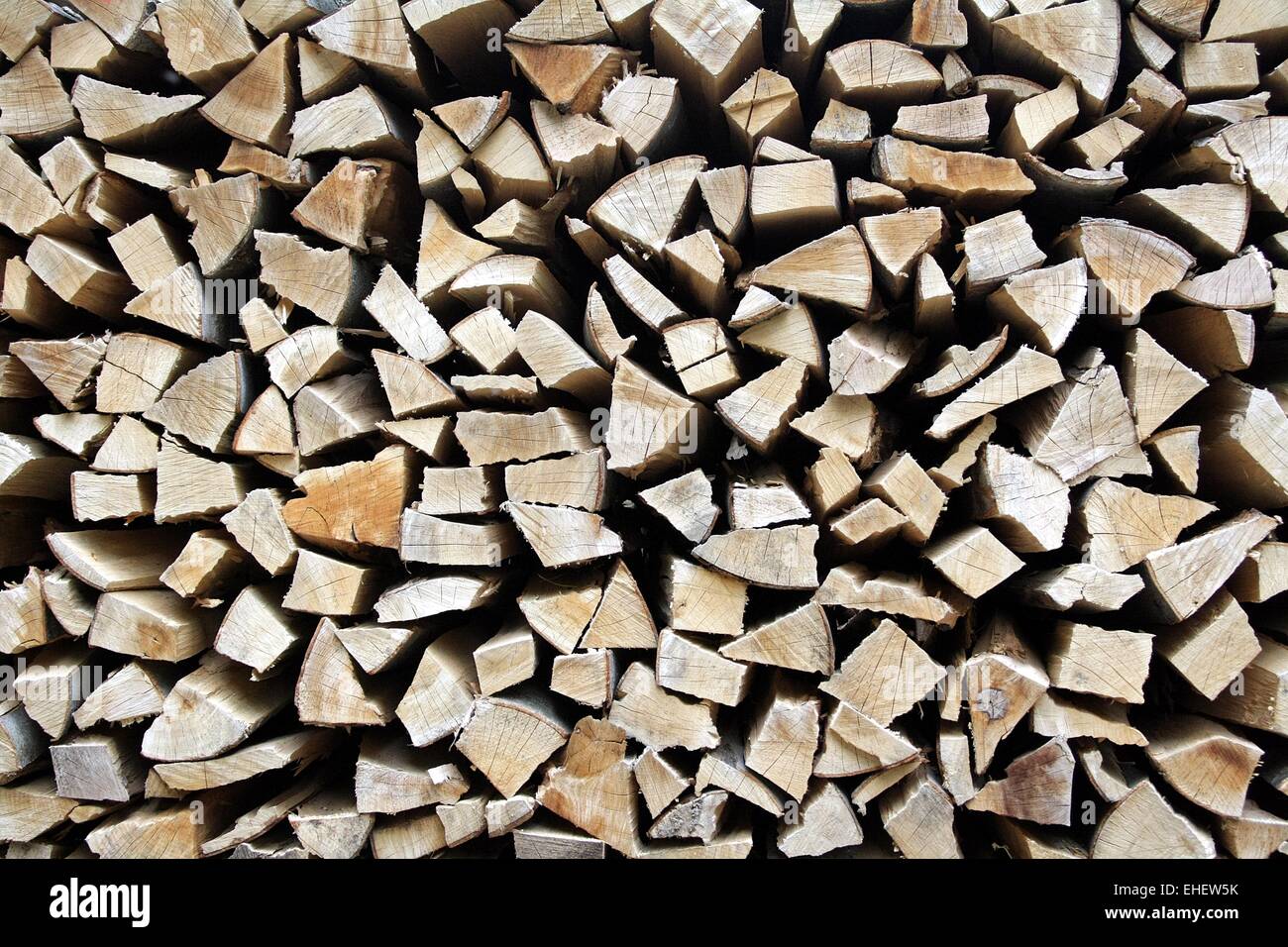 Growing stock Stock Photo