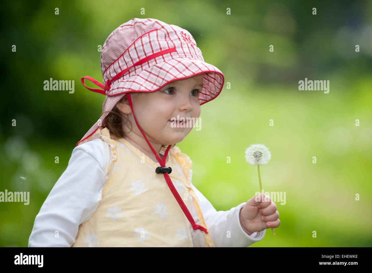 Adorable girl with blowball Stock Photo