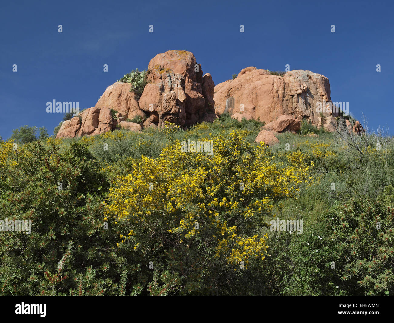 Rocks with broom shrubs, Arbatax, Sardinia Stock Photo - Alamy