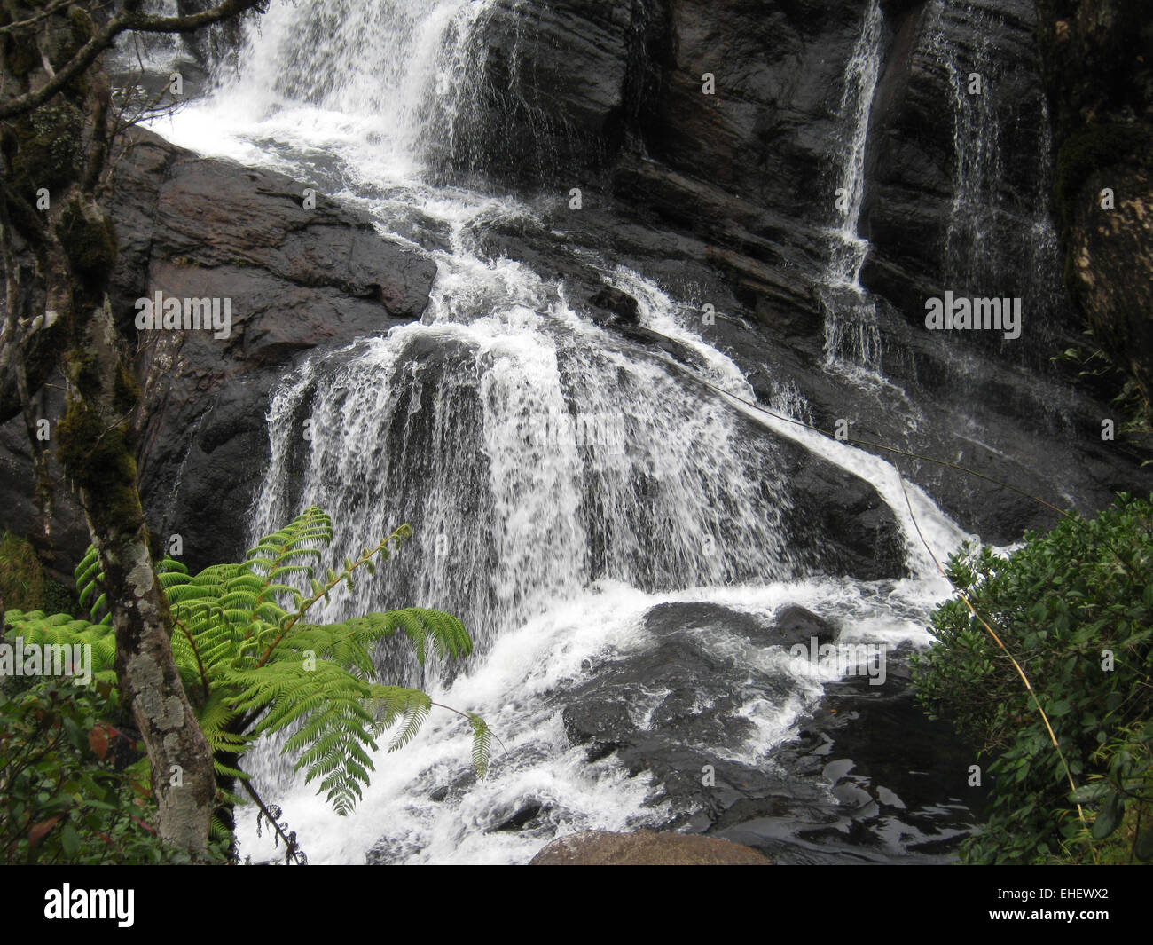 Baker falls, Ceylon Stock Photo