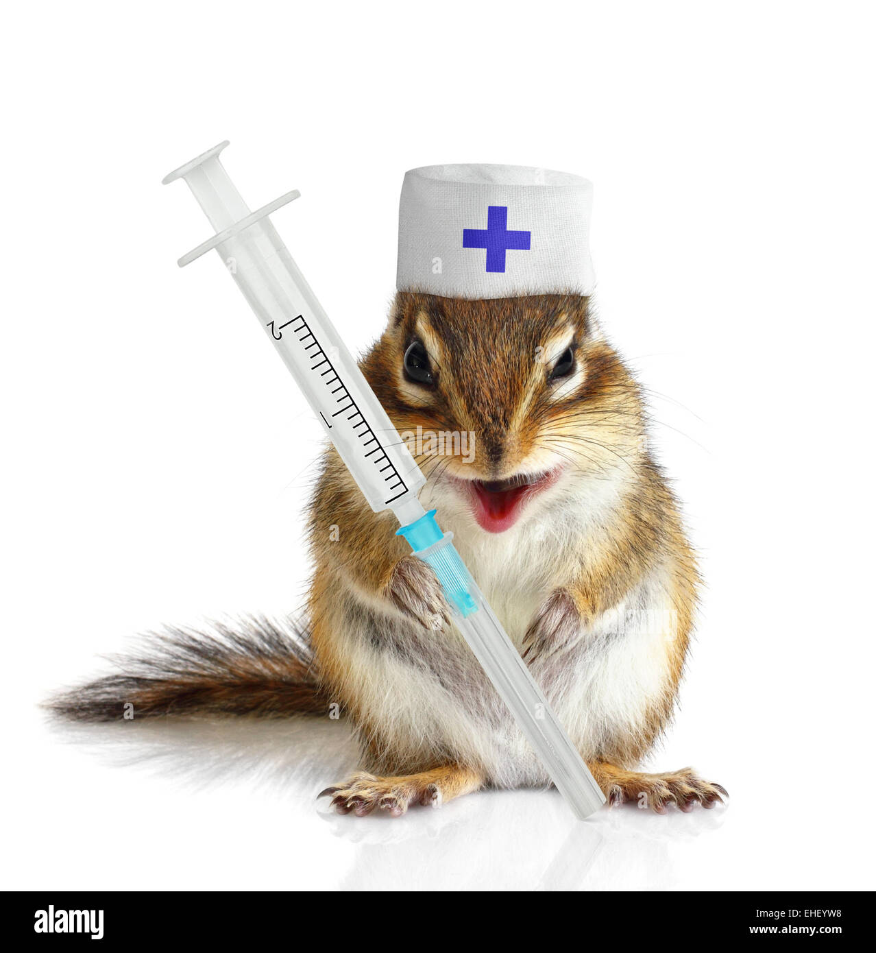 Funny chipmunk veterinarian with syringes on white Stock Photo