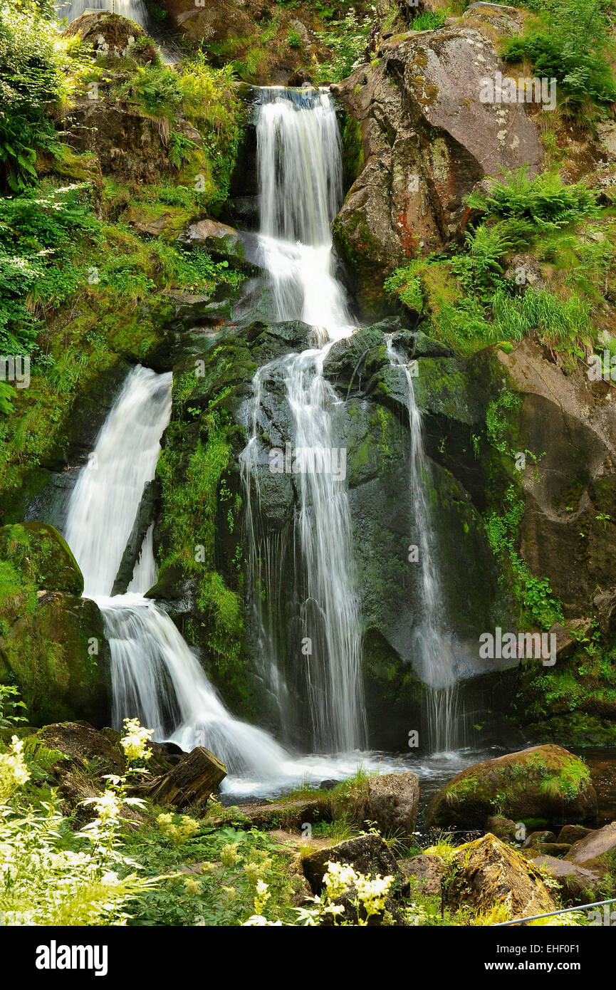 Black-Forest Waterfall germany Stock Photo