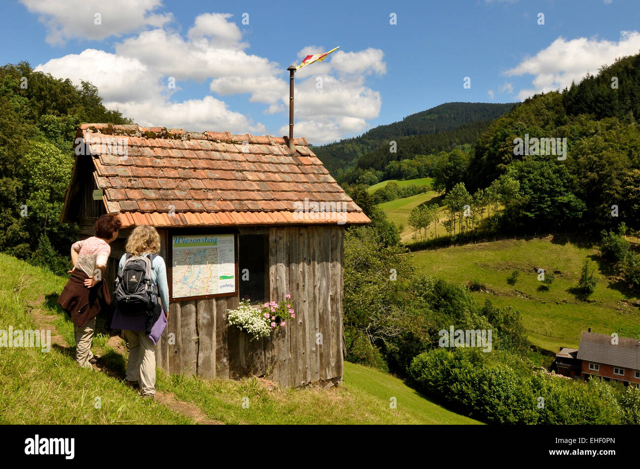 Walking black forest in germany hi-res stock photography and images - Alamy