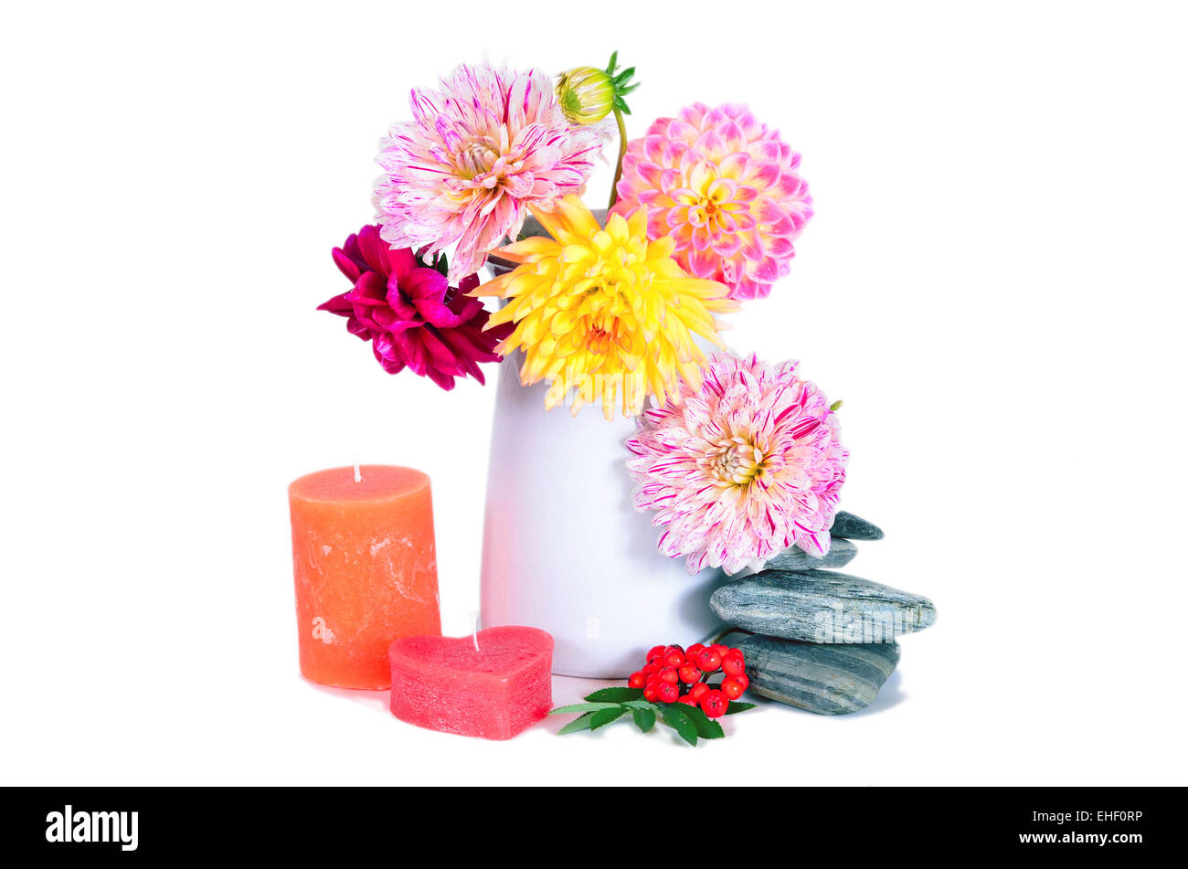 Tree Dahlias High Resolution Stock Photography and Images - Alamy