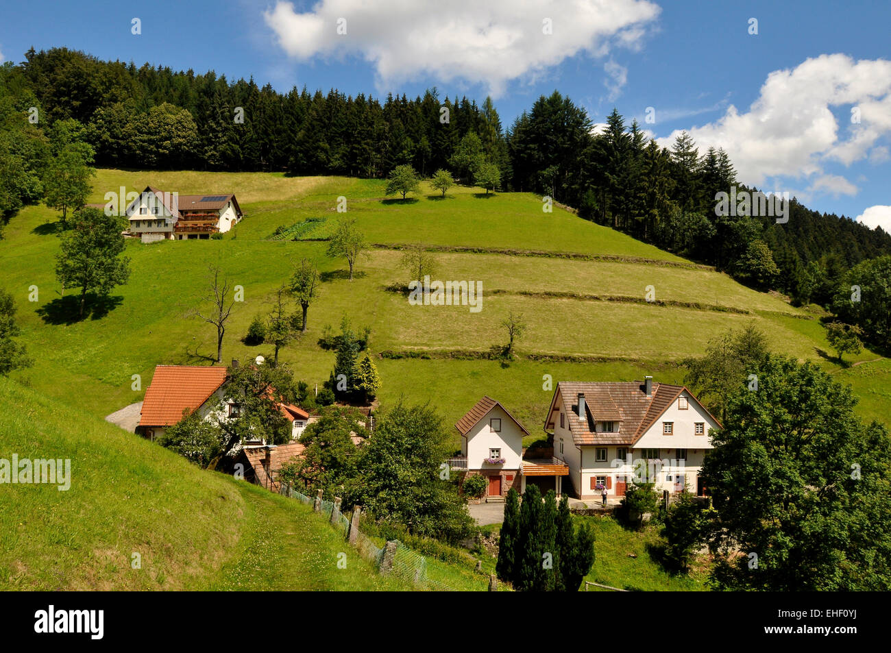 Black Forest germany Stock Photo Alamy