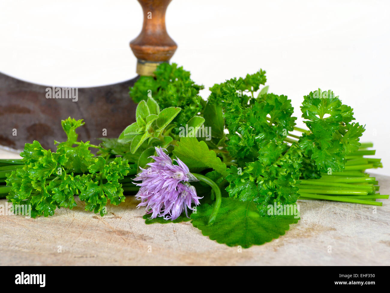 Table garden herbs Stock Photo Alamy