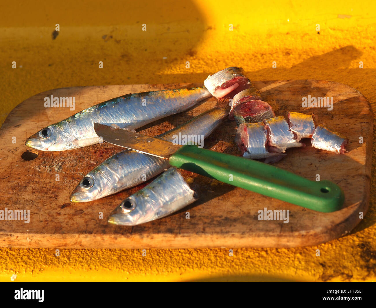 Cutting up fresh caught  sardine Fish  for fishing bait Stock Photo