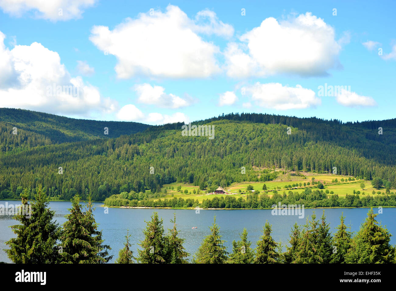 Black Forest Germany Stock Photo