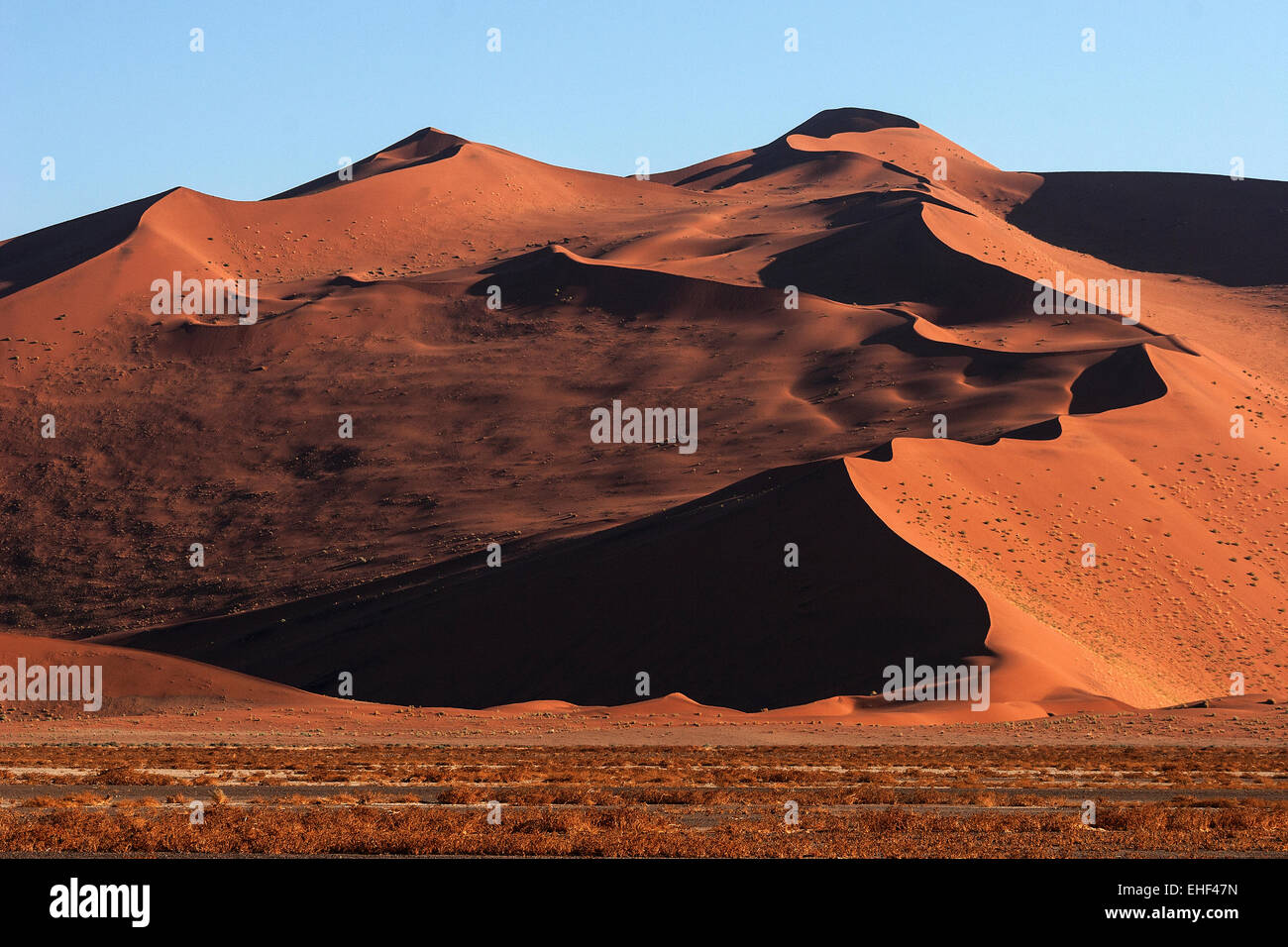 Sand dunes, evening light, Sossusvlei, Namib Desert, Namib-Naukluft National Park, Namibia Stock Photo