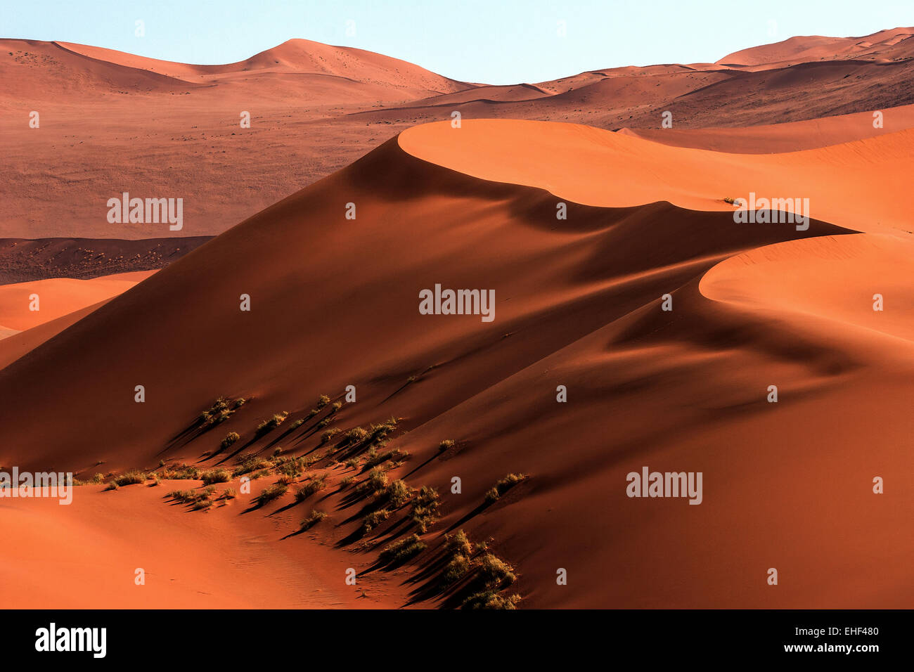 Sand dunes, Sossusvlei, Namib Desert, Namib-Naukluft National Park, Namibia Stock Photo