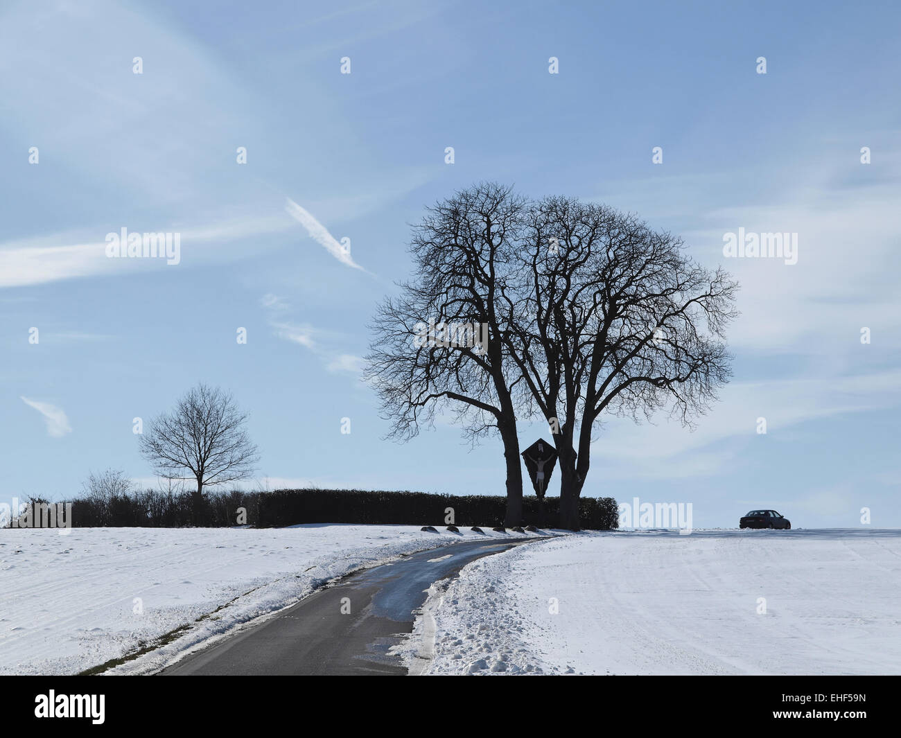 Chestnut tree in winter, Aesculus, Germany Stock Photo