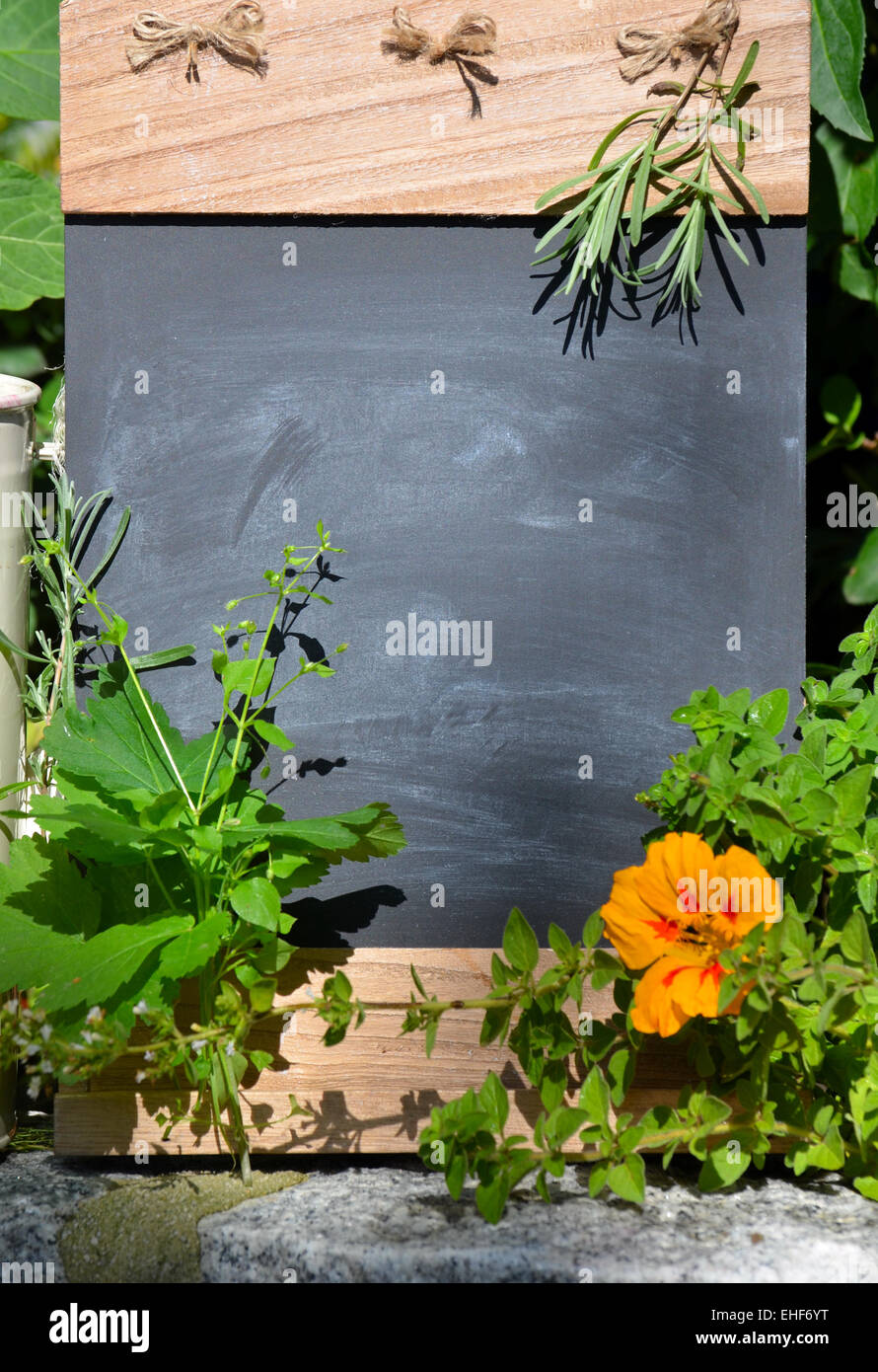 Table garden herbs Stock Photo