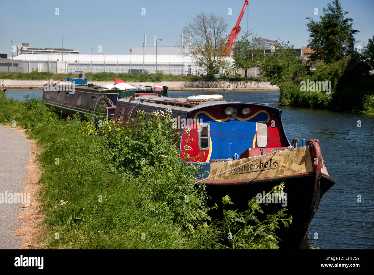 Narrow boats moored on the river Thames, London Stock Photo