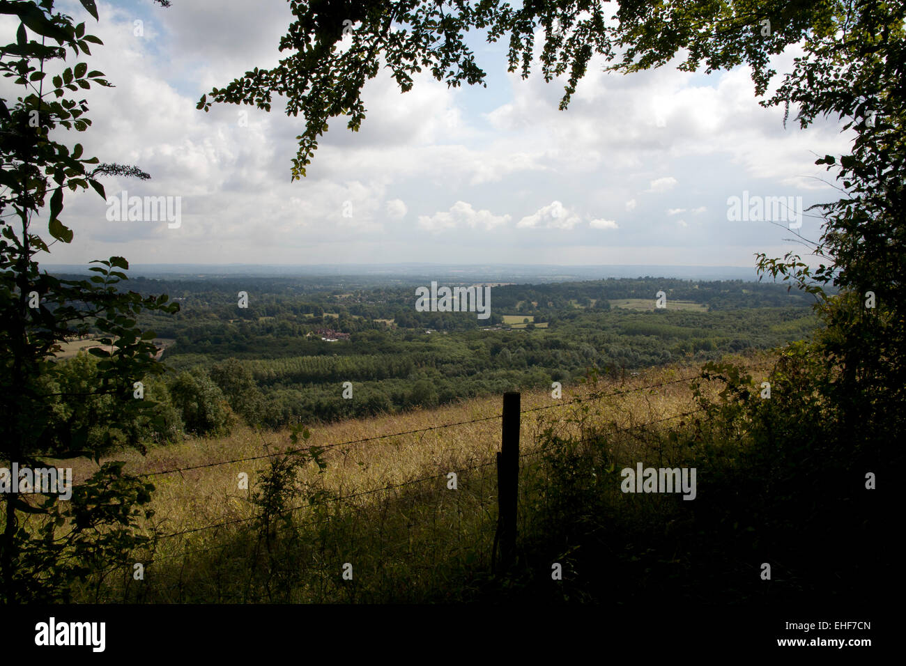 The ridges and valleys of the Weald from the North Downs Way, Surrey UK