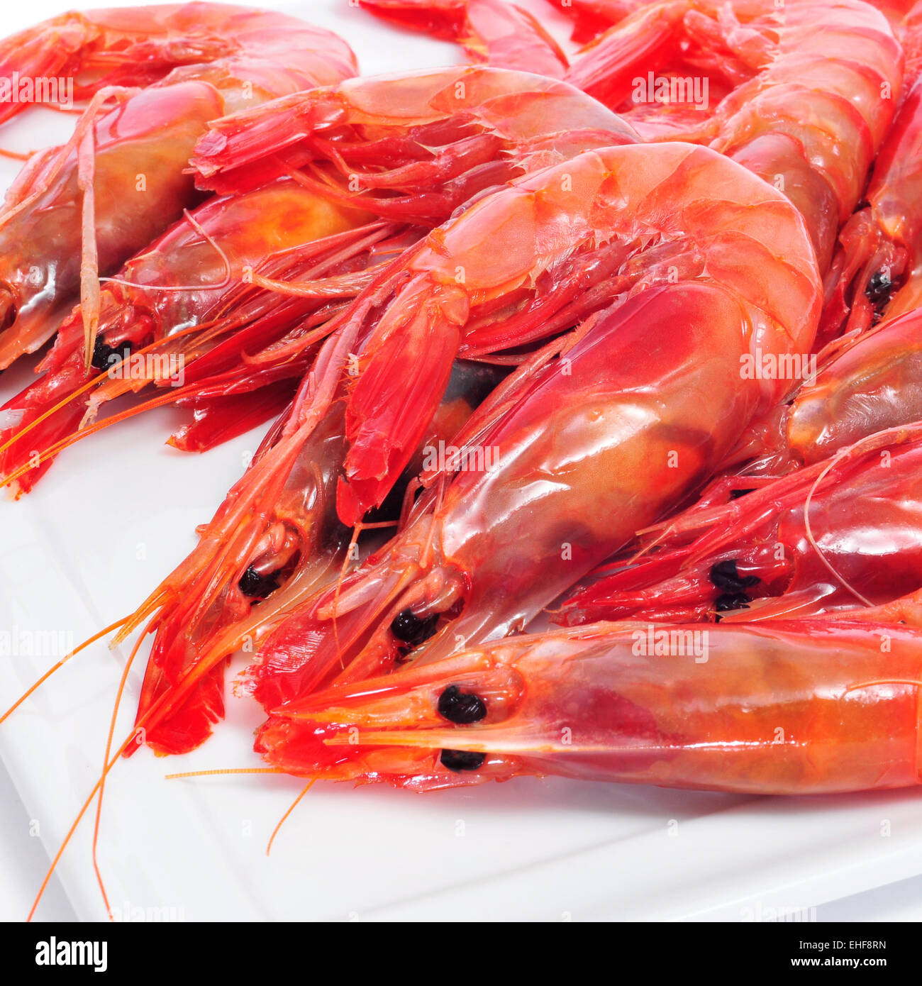closeup of a pile of fresh raw shrimps Stock Photo