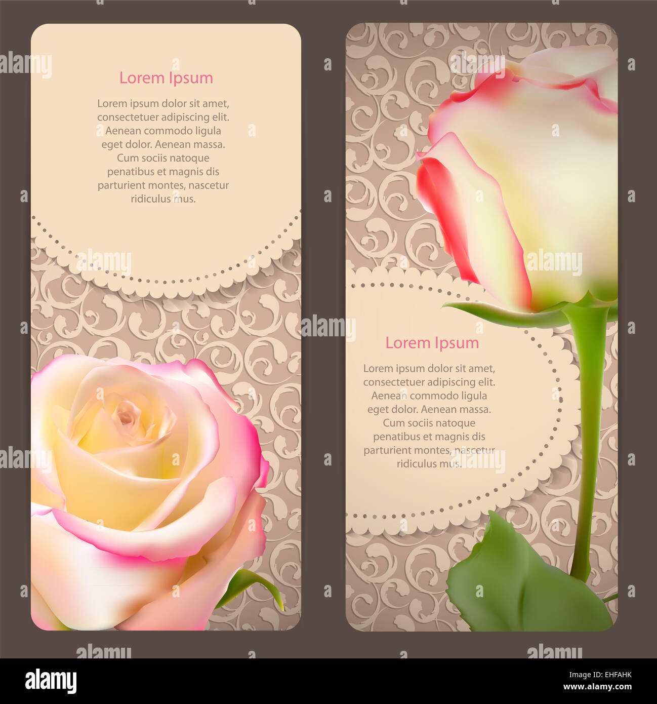 Beautiful Floral Cards with Realistic Rose Flowers Vector Illus Stock ...