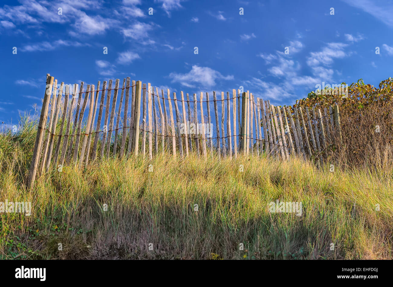 Remains of old obsolete fence in meadow on a sunny day from low angle view Stock Photo