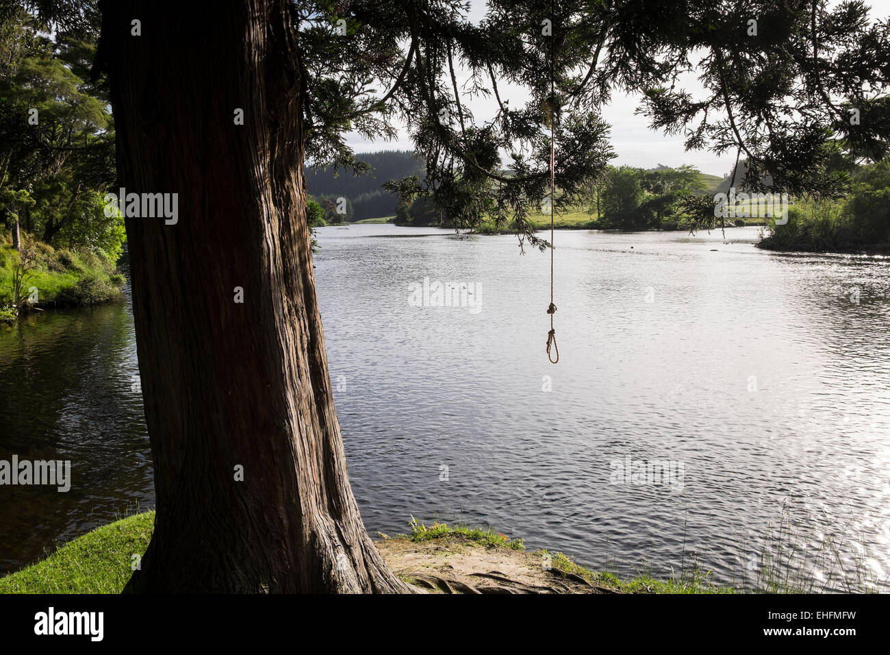 Rope swing over lake hi-res stock photography and images - Alamy