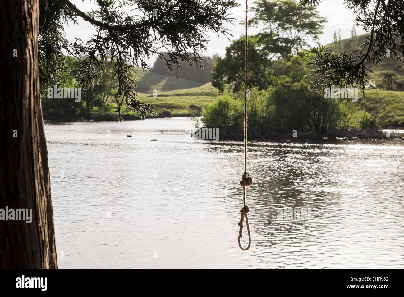 Rope Swing Stock Photos Rope Swing Stock Images Alamy