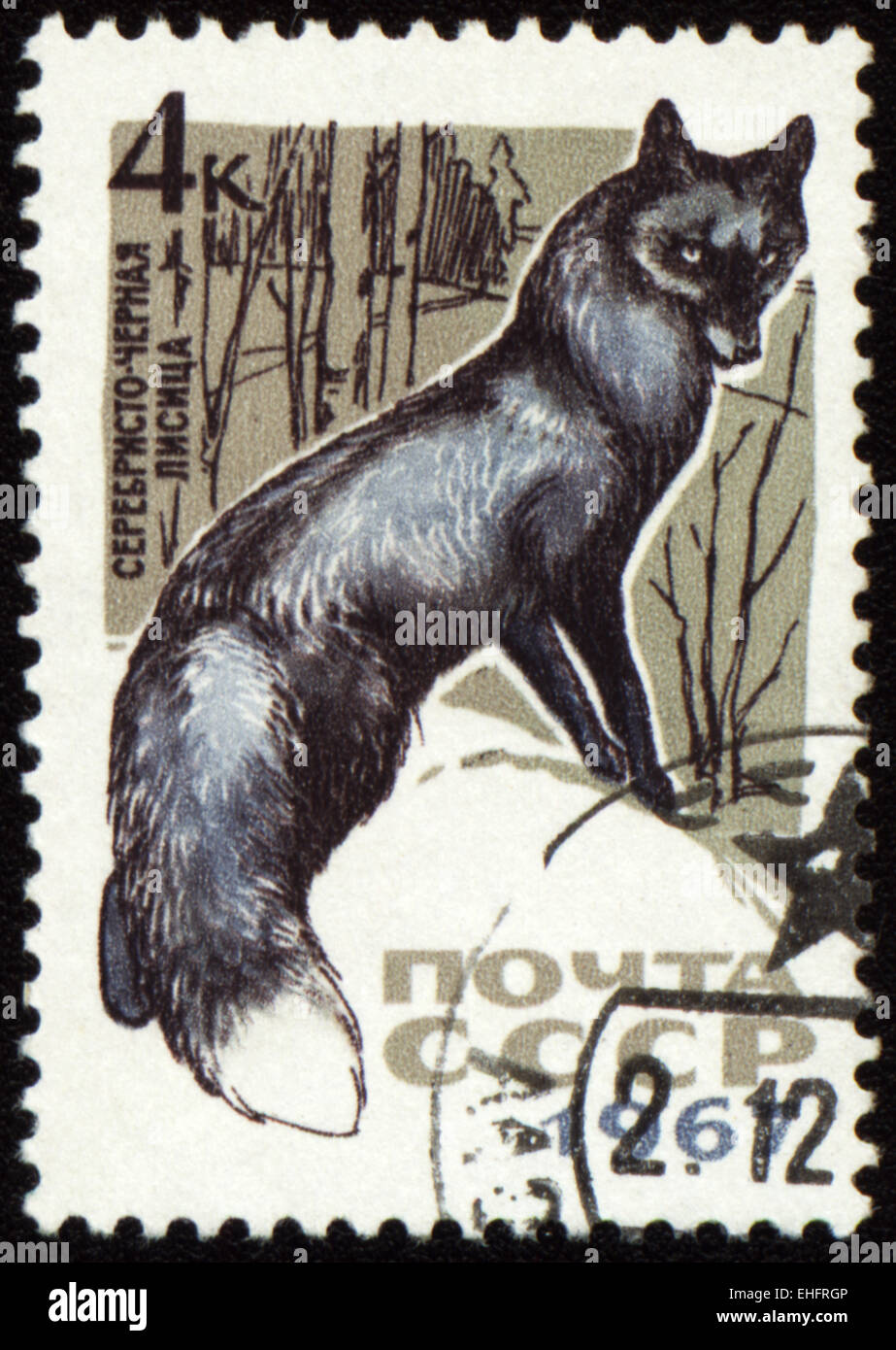 USSR - CIRCA 1967: post stamp printed in the UssR shows black fox Stock Photo