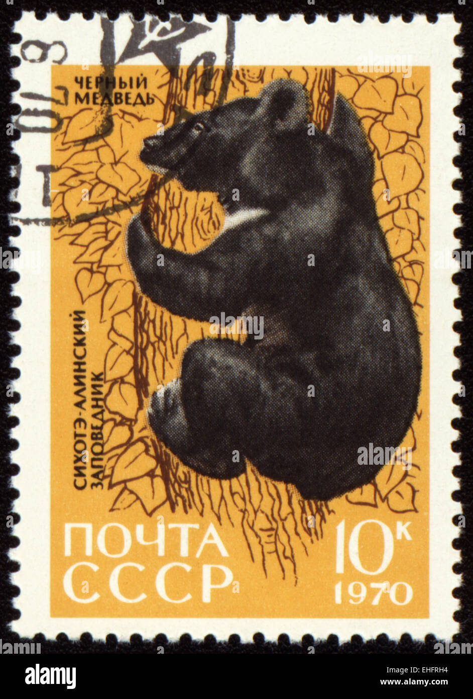 USSR - CIRCA 1970: post stamp printed in USSR shows Black bear on tree Stock Photo