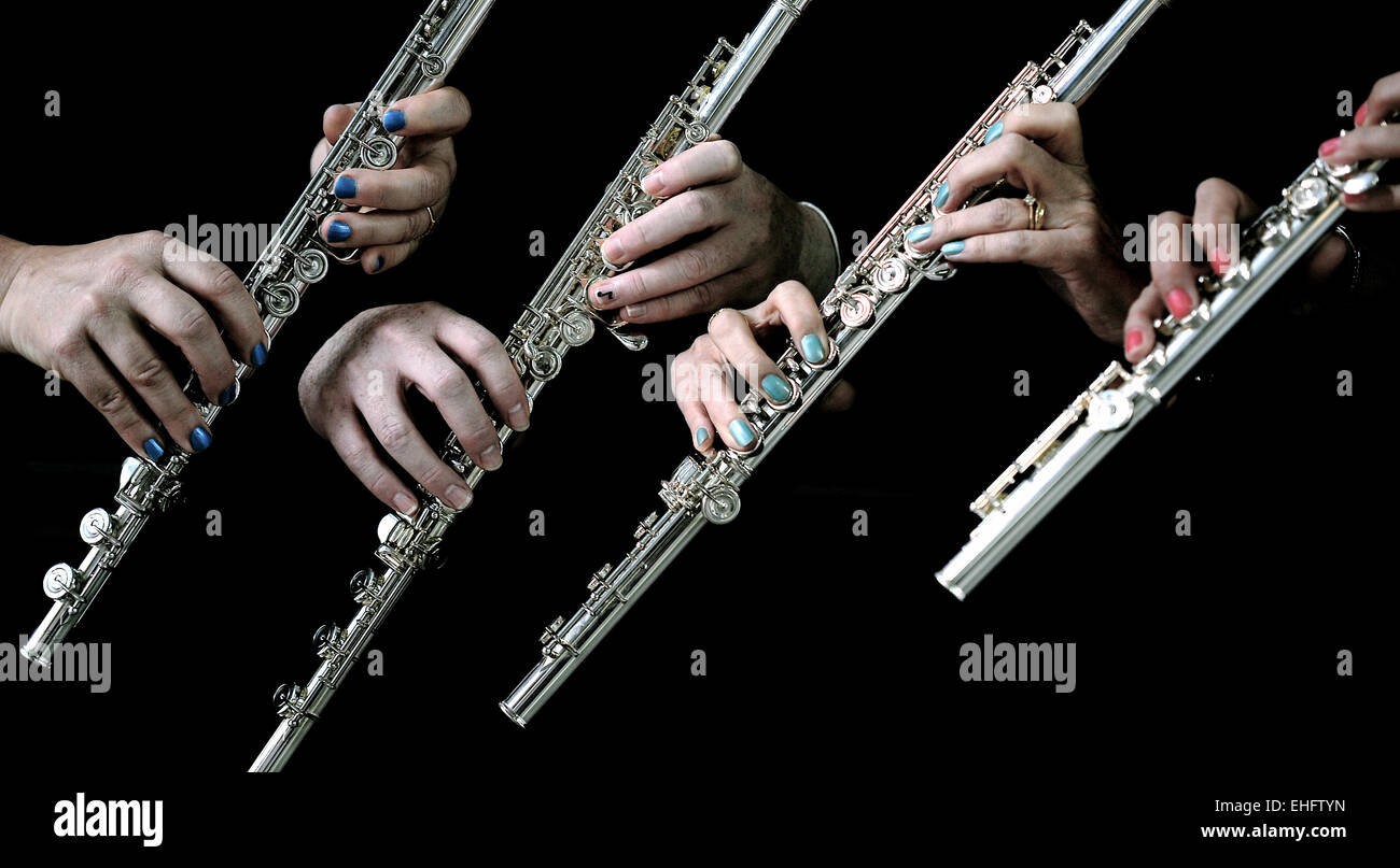 Flute Quartet, close up on hands with black background. Hands on my flute, many flutists. Flute Jazz Quartet. Classical flute quartet Stock Photo