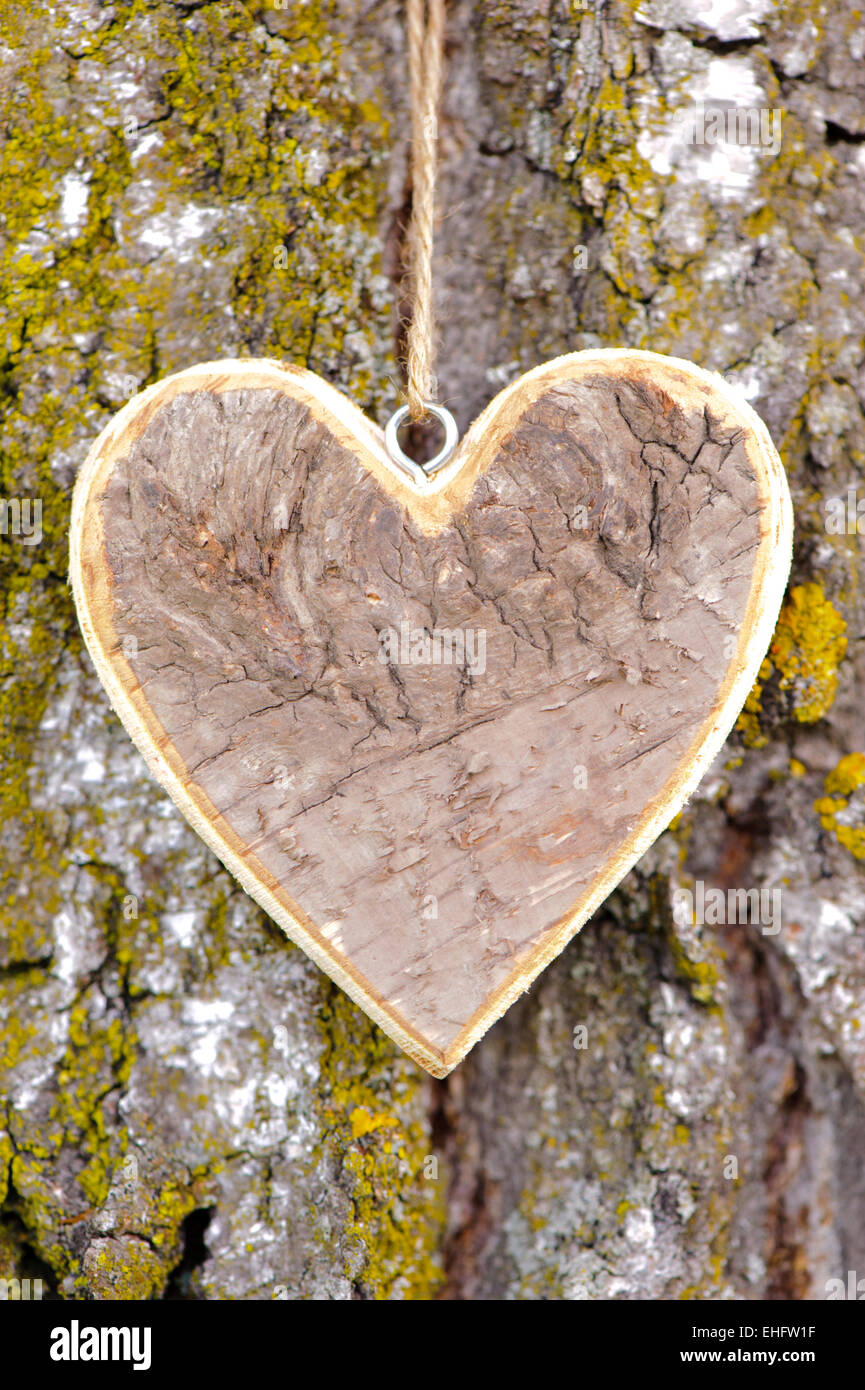 carved wooden heart on tree bark as symbol for love Stock Photo