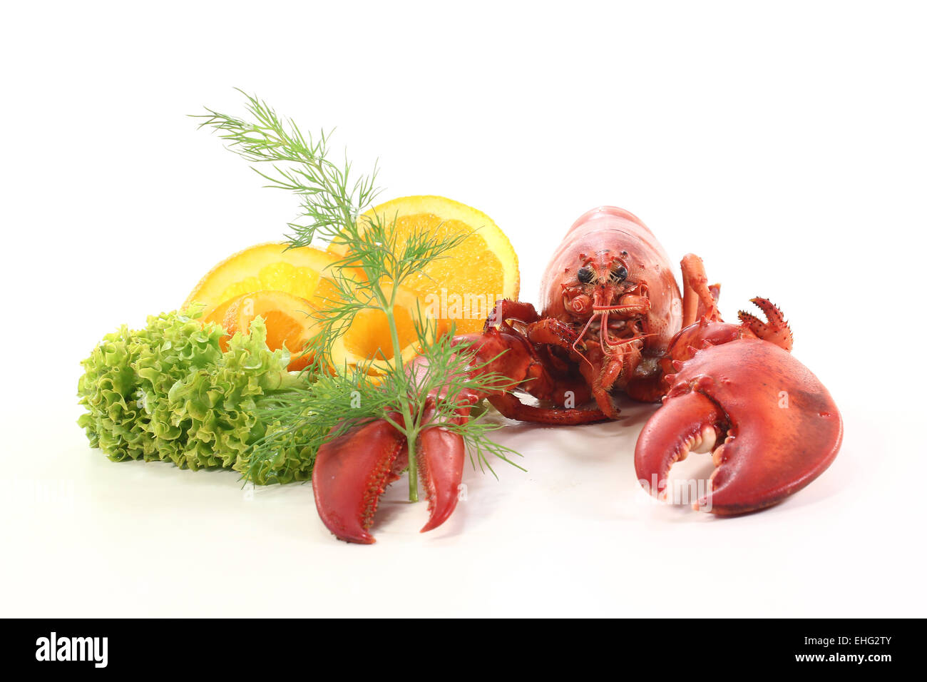 cooked lobster Stock Photo