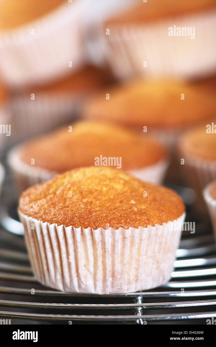 muffins on a baking rust Stock Photo