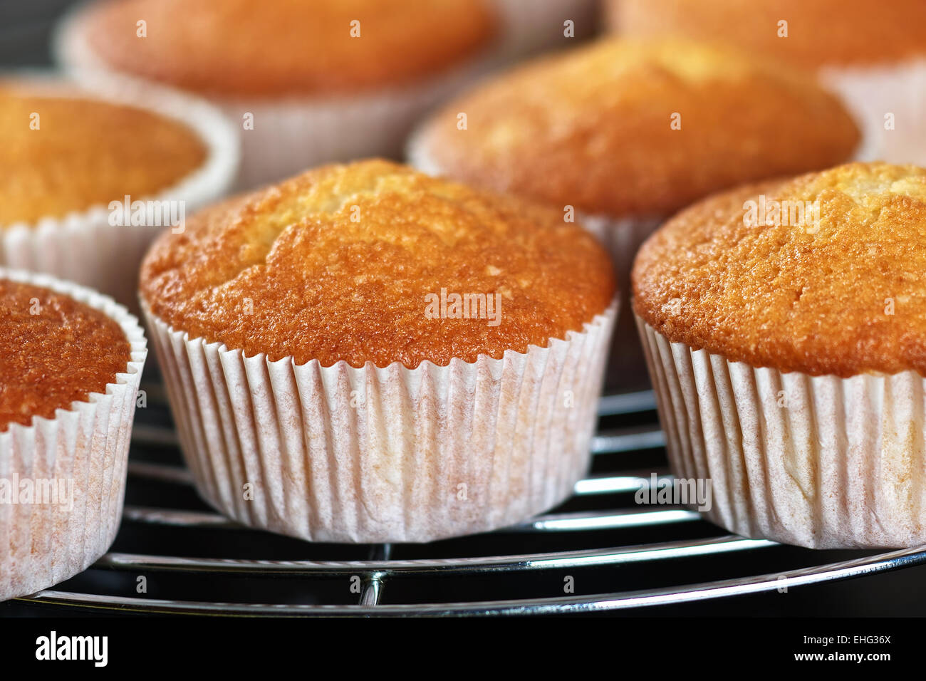 muffins on a baking rust Stock Photo