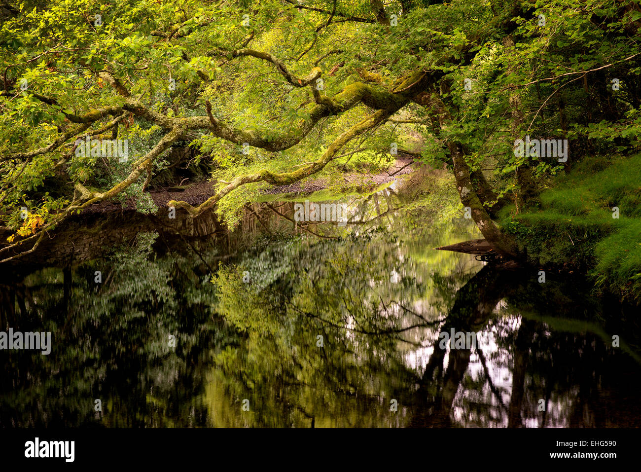 Calm placid waters of Gearhmeen River, Killarney National Park, Ireland Stock Photo