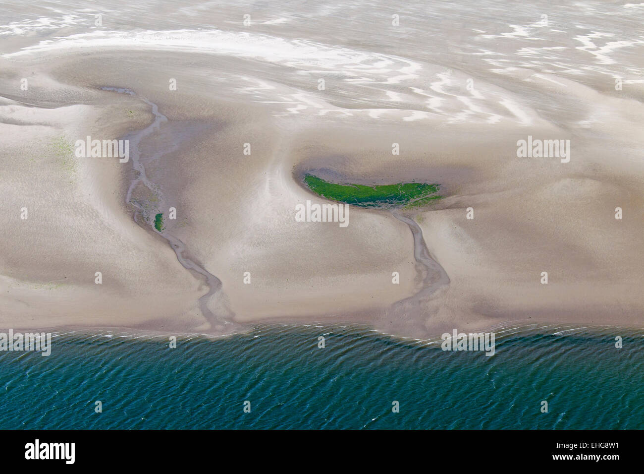 Aerial view of tidal mudflats and seagrass / eelgrass (Zostera marina), Schleswig-Holstein Wadden Sea National Park, Germany Stock Photo