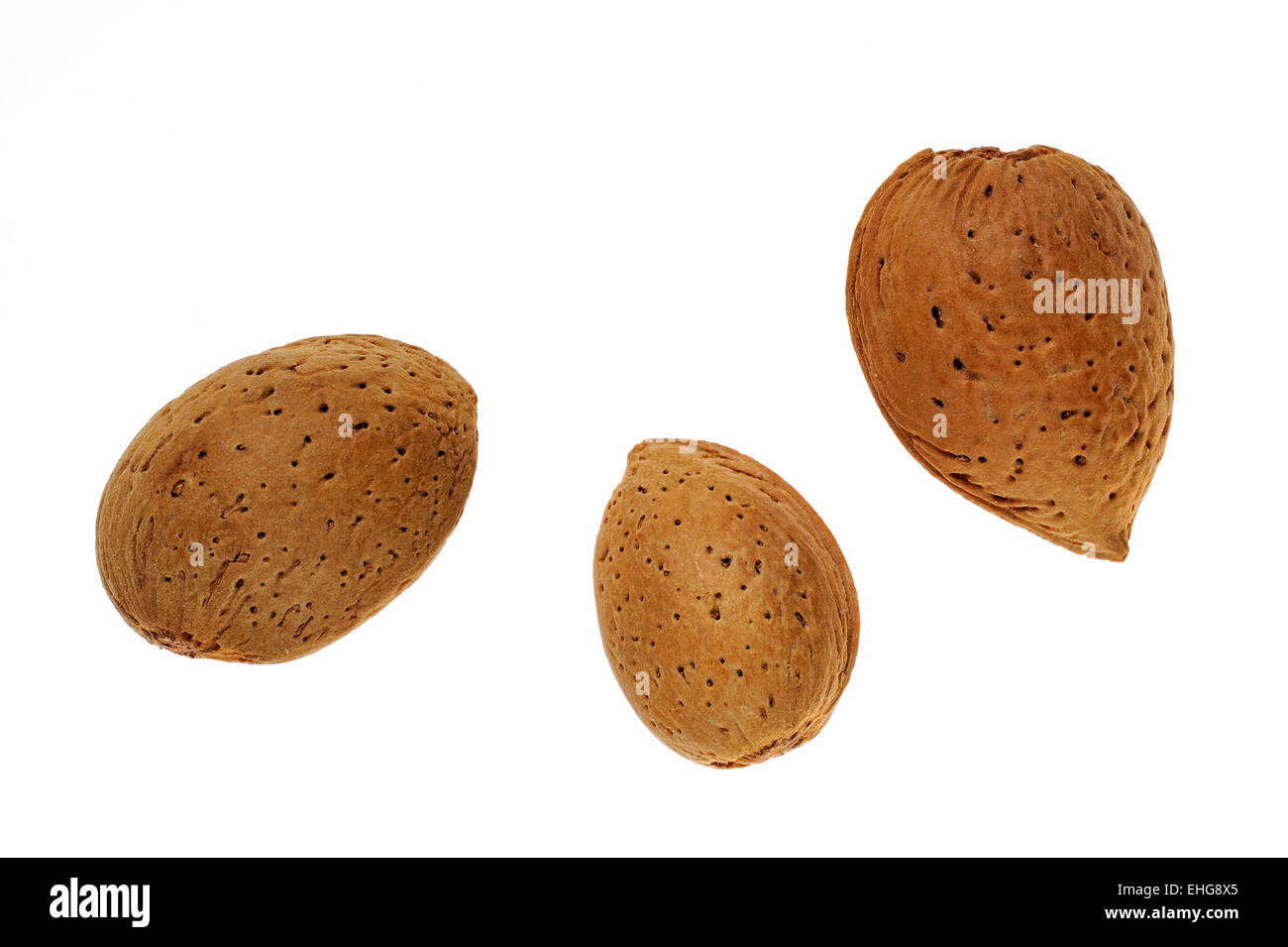 Close up of three unshelled almond nuts (Prunus dulcis) in shell against white background Stock Photo