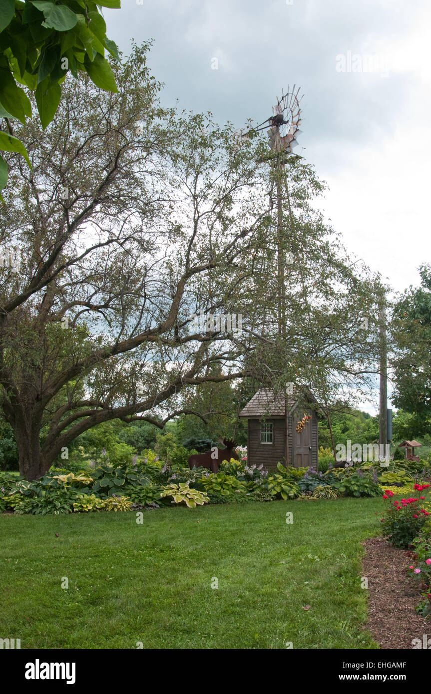 Windmill  in hosta  garden  in country garden Stock Photo