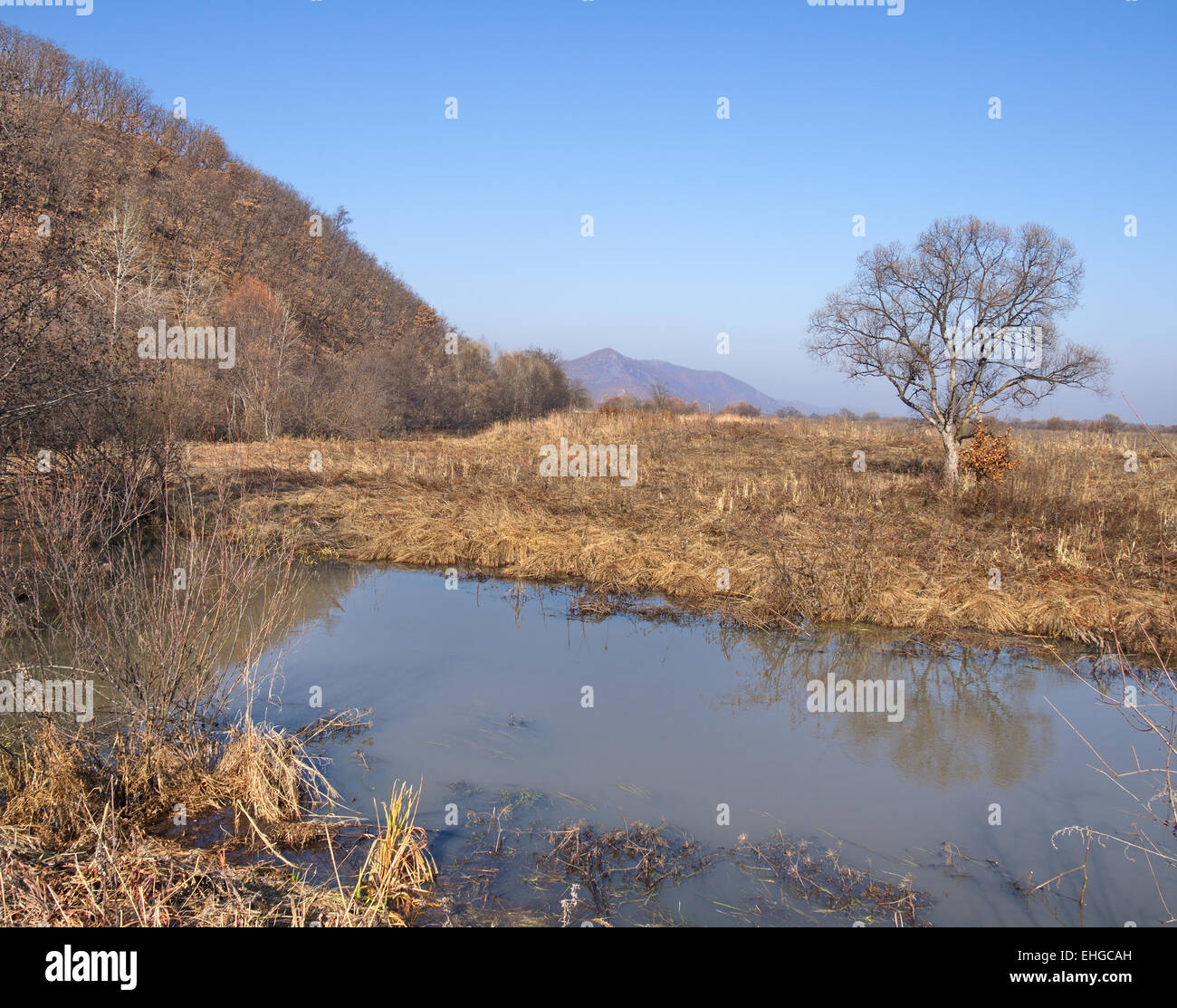 Sunny bank hi-res stock photography and images - Alamy