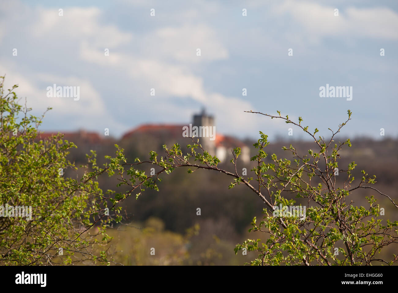 castle ballenstedt Stock Photo