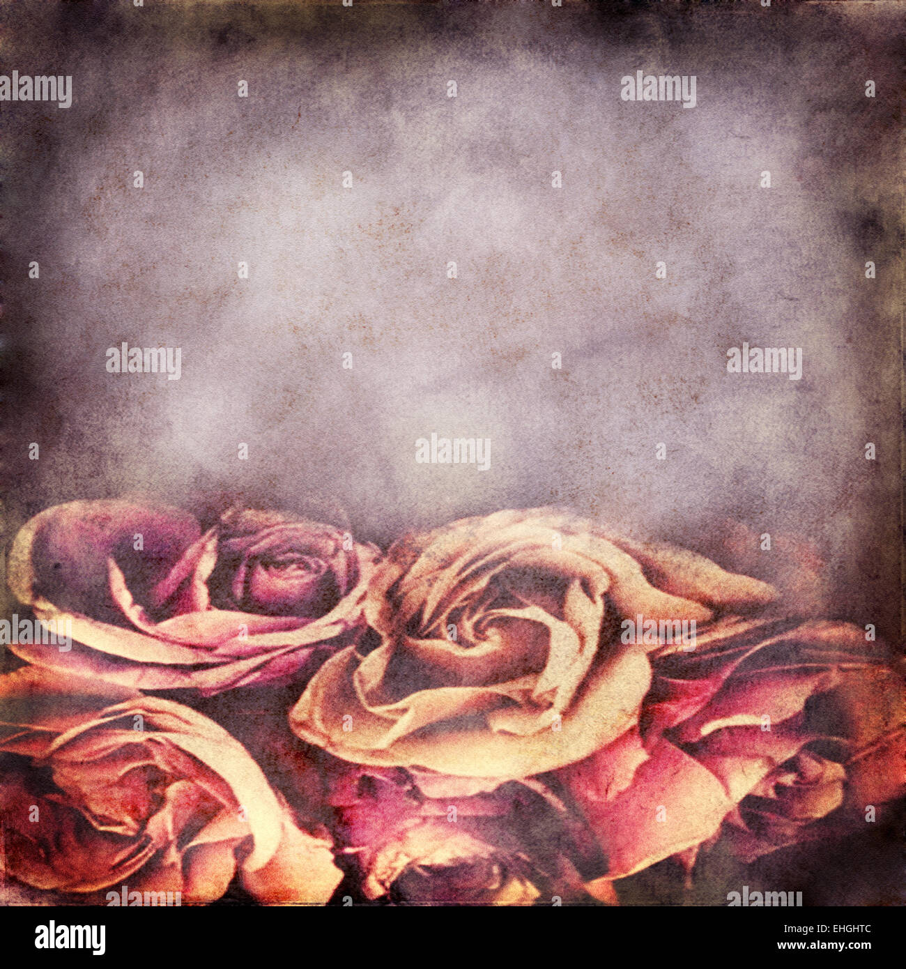 Album old cover with roses hi-res stock photography and images - Alamy