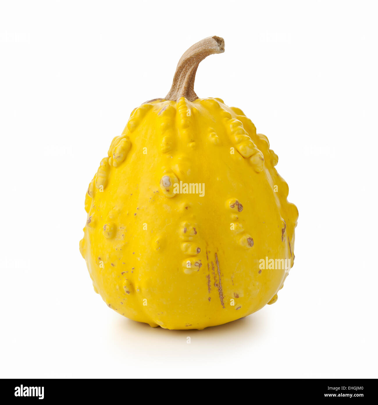 Decorative Pumpkin Stock Photo