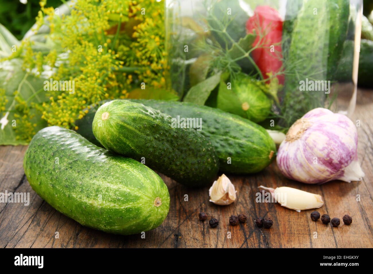 Cucumbers, herbs and spices for pickling. Stock Photo