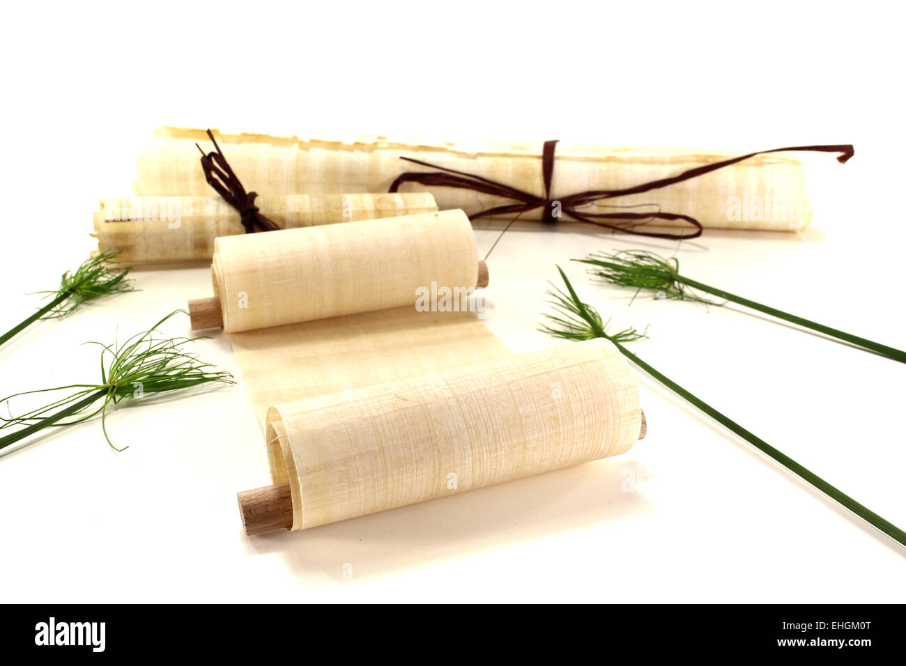 yellowed papyrus scroll with papyrus Stock Photo