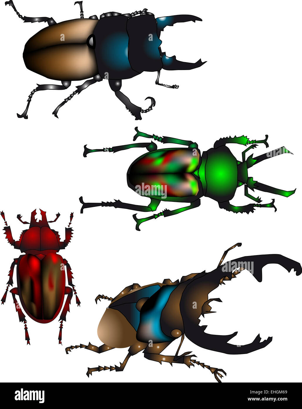 collection of beetles Stock Photo