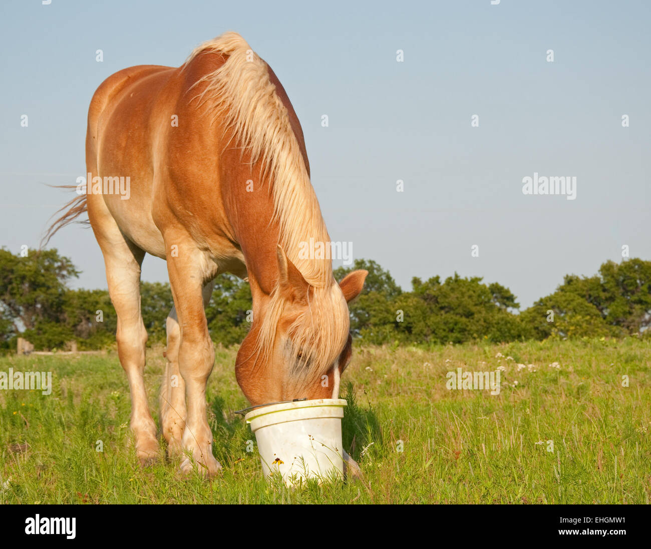 My Image 24