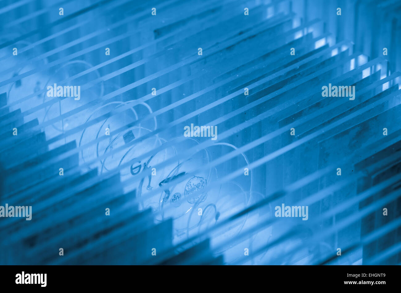 science microscope slide Stock Photo Alamy