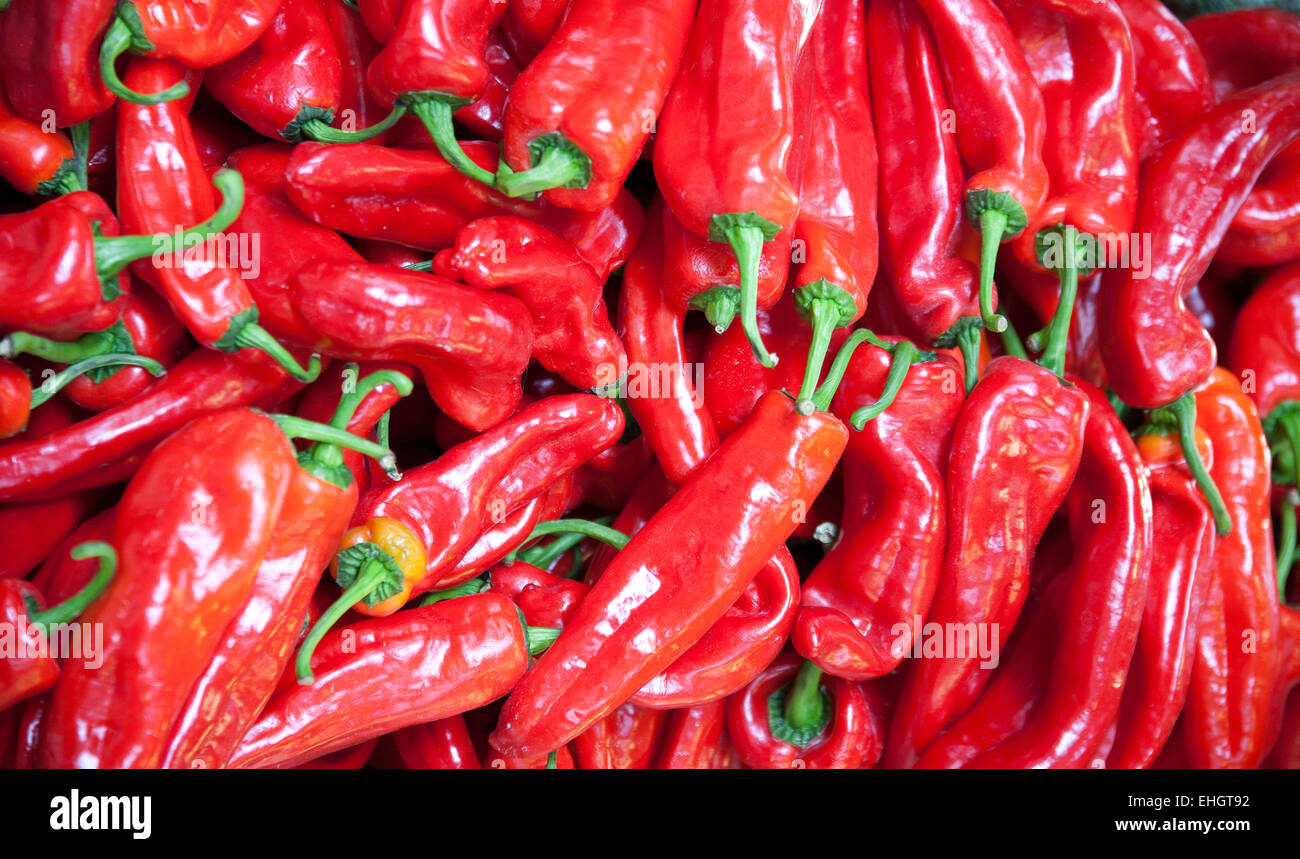 Organic red hungarian paprika for sale on farmers market. Traditional